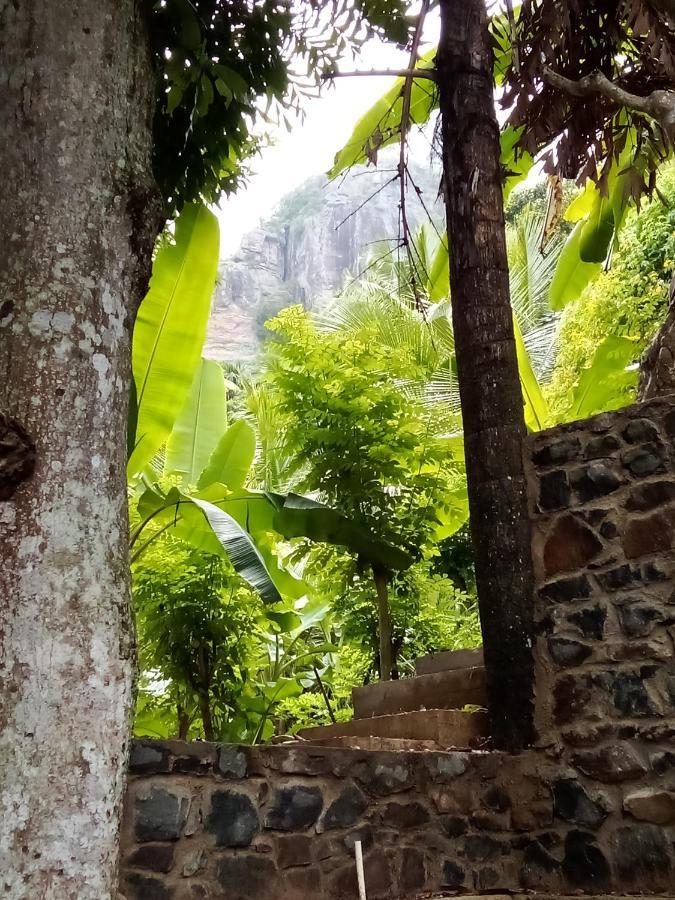 Forest Rawana Homestay Ella Extérieur photo