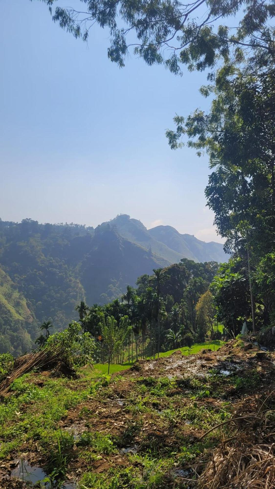Forest Rawana Homestay Ella Extérieur photo