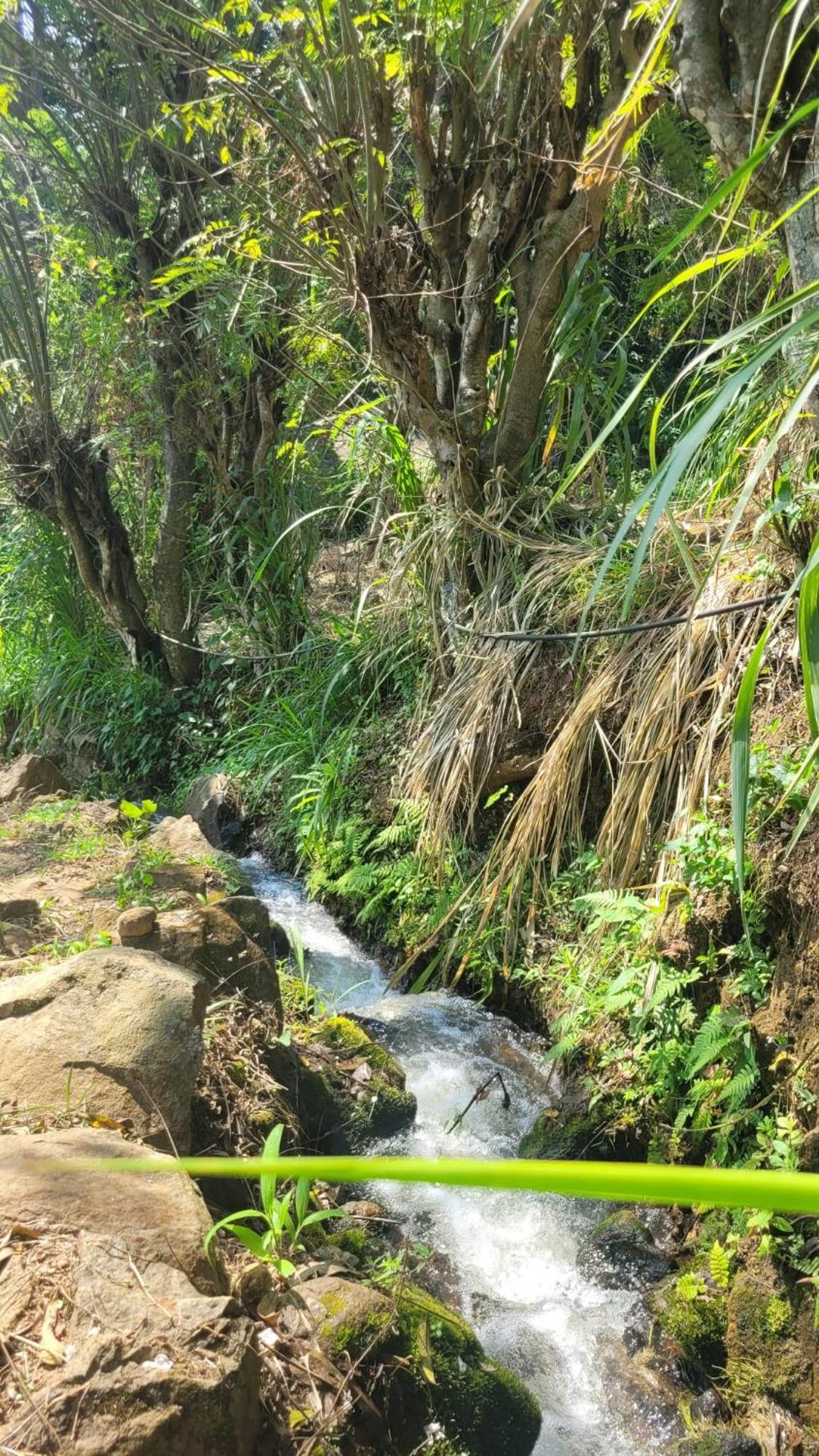 Forest Rawana Homestay Ella Extérieur photo