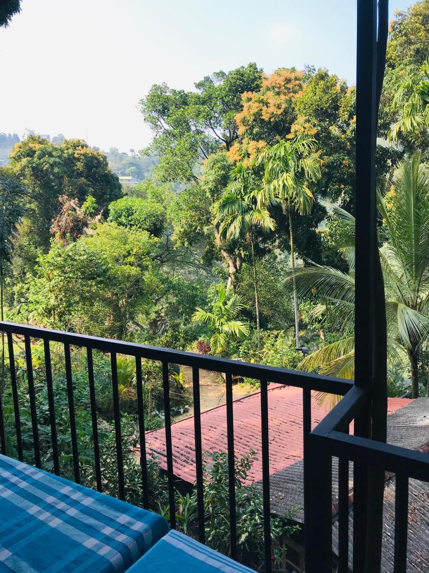 Forest Rawana Homestay Ella Extérieur photo