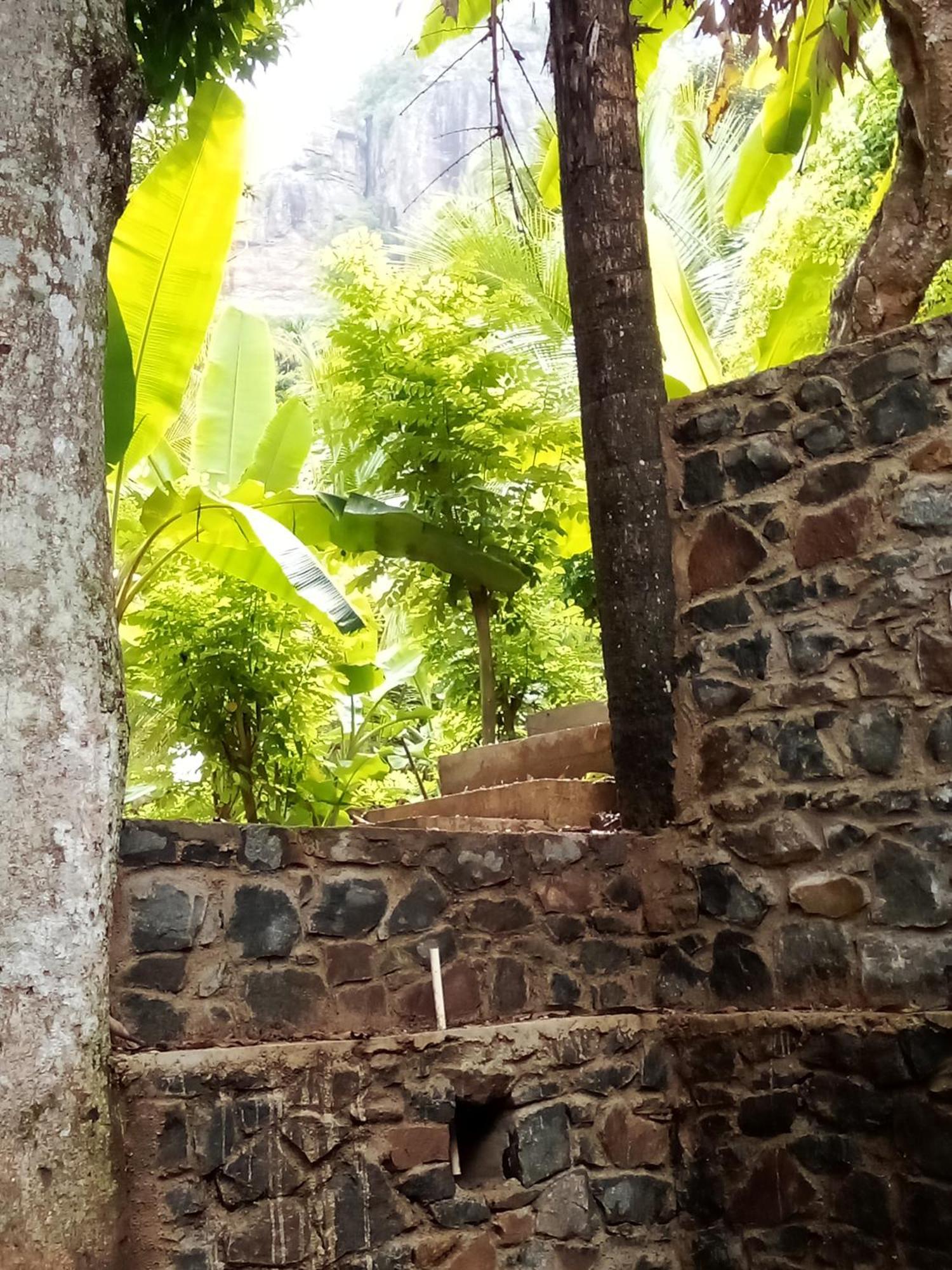 Forest Rawana Homestay Ella Extérieur photo