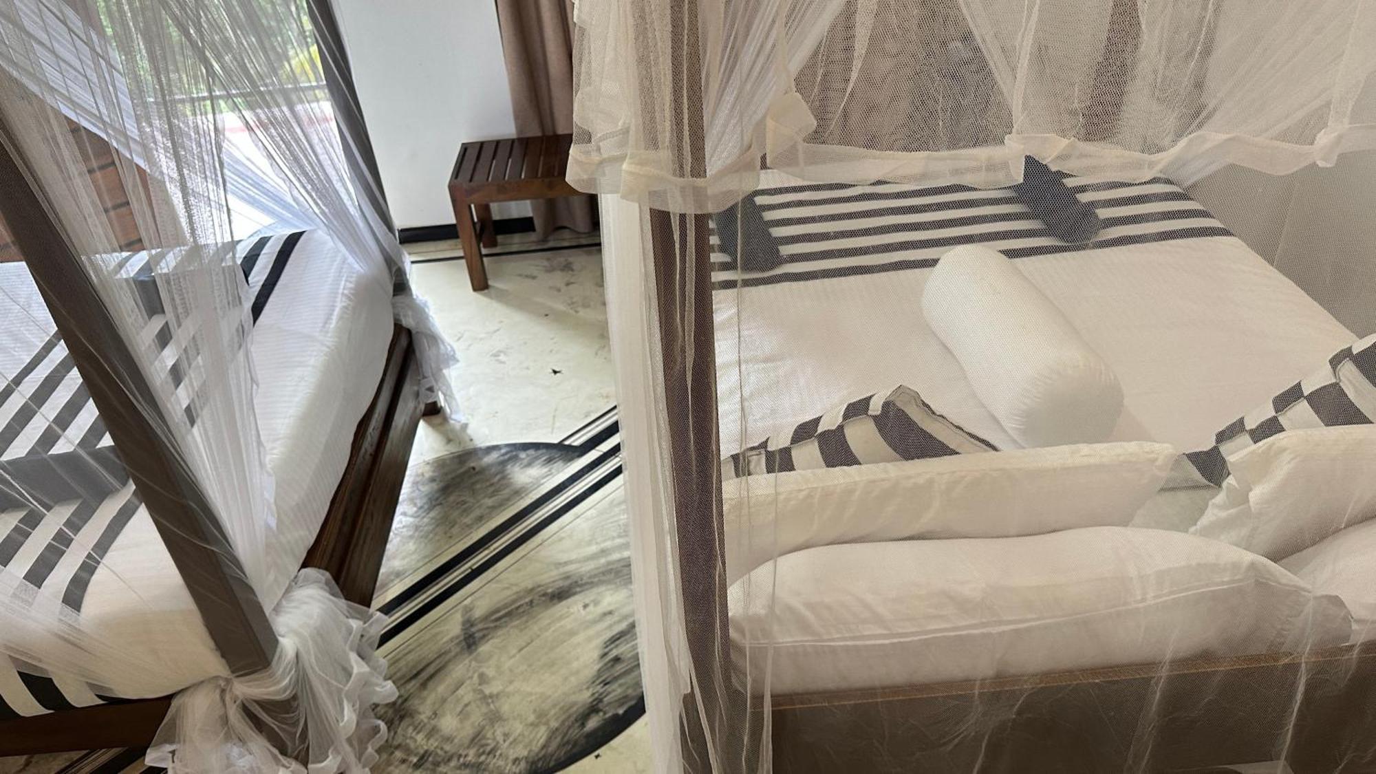Forest Rawana Homestay Ella Chambre photo