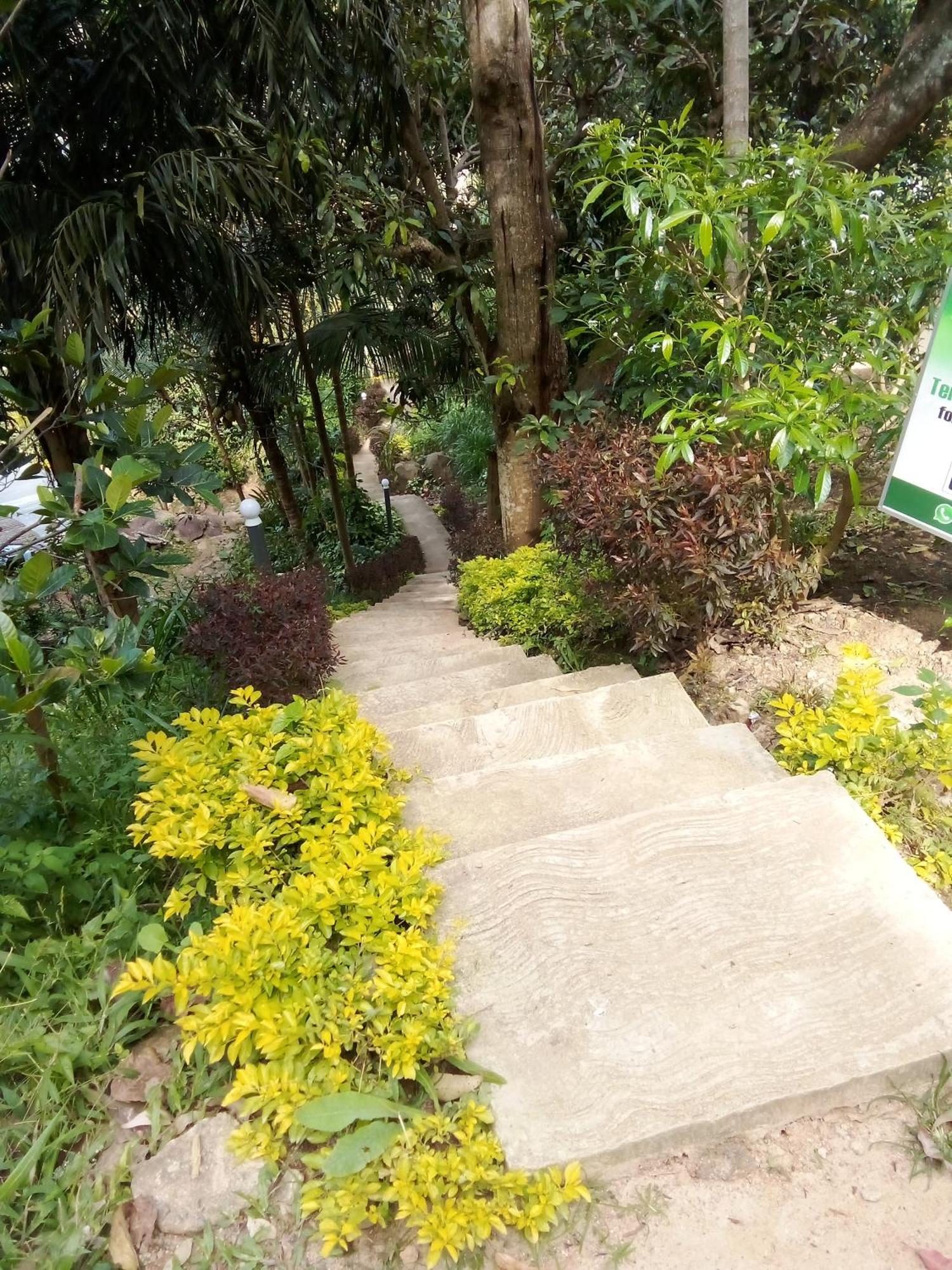 Forest Rawana Homestay Ella Extérieur photo