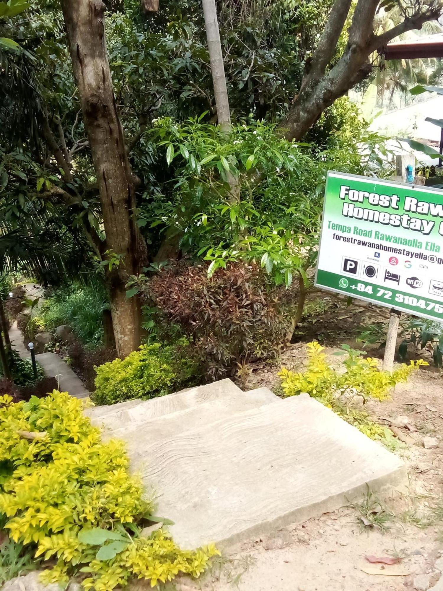 Forest Rawana Homestay Ella Extérieur photo